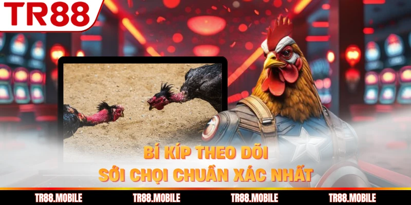 Bí kíp theo dõi sới chọi chuẩn xác nhất