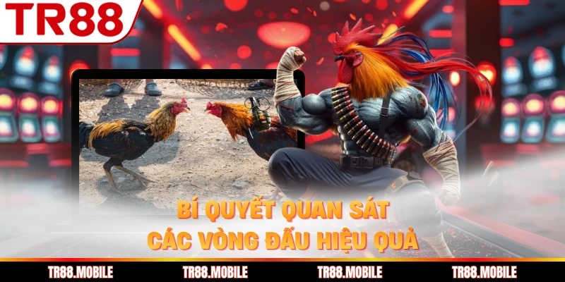 Bí quyết quan sát các vòng đấu hiệu quả