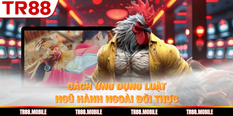 Cách ứng dụng luật ngũ hành ngoài đời thực