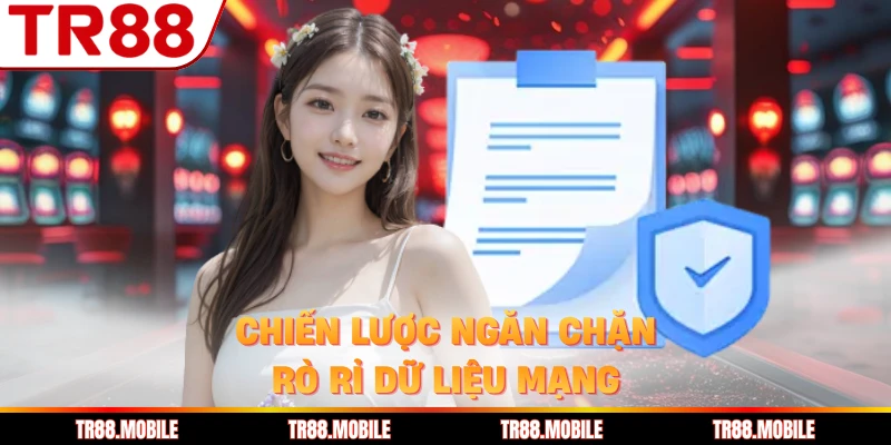Chiến lược ngăn chặn rò rỉ dữ liệu mạng