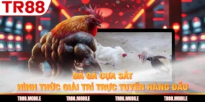 Đá Gà Cựa Sắt