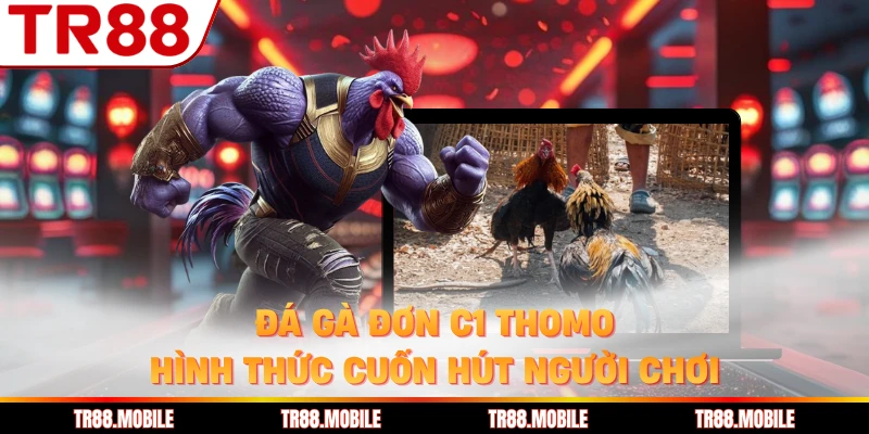 Đá Gà Đơn C1 Thomo