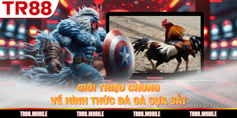 Giới thiệu chung về hình thức đá gà cựa sắt