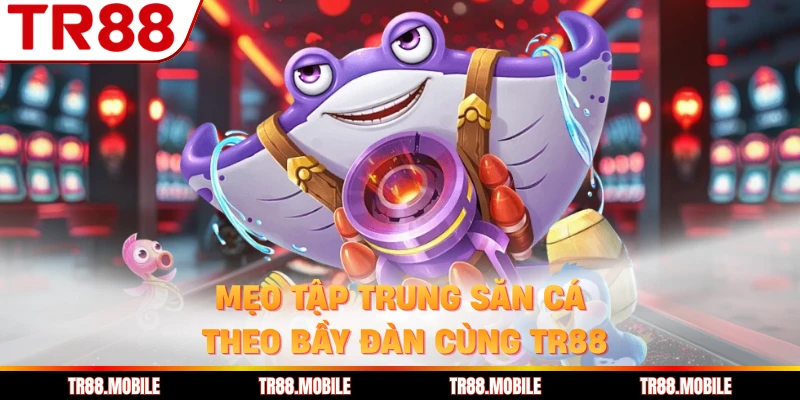 Mẹo tập trung săn cá theo bầy đàn cùng TR88