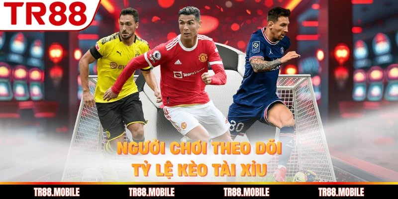 Người chơi theo dõi tỷ lệ kèo tài xỉu
