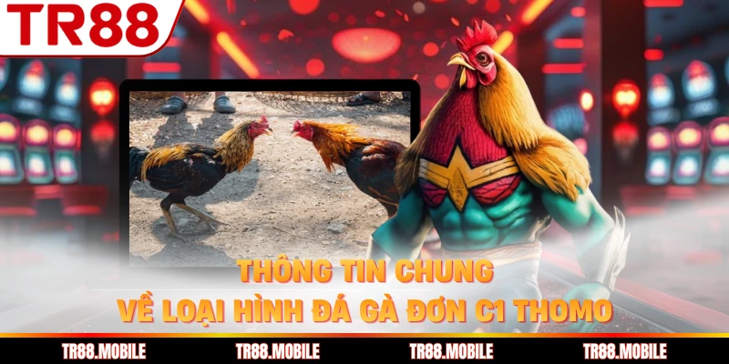 Thông tin chung về loại hình đá gà đơn C1 Thomo