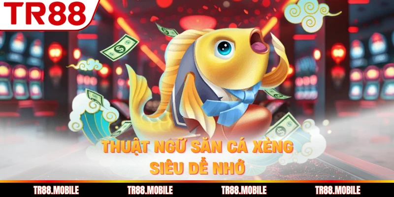 Thuật ngữ săn cá xèng siêu dễ nhớ