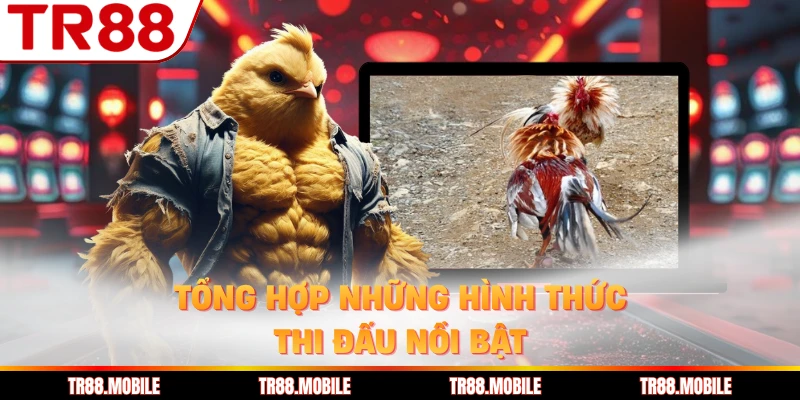 Tổng hợp những hình thức thi đấu nổi bật